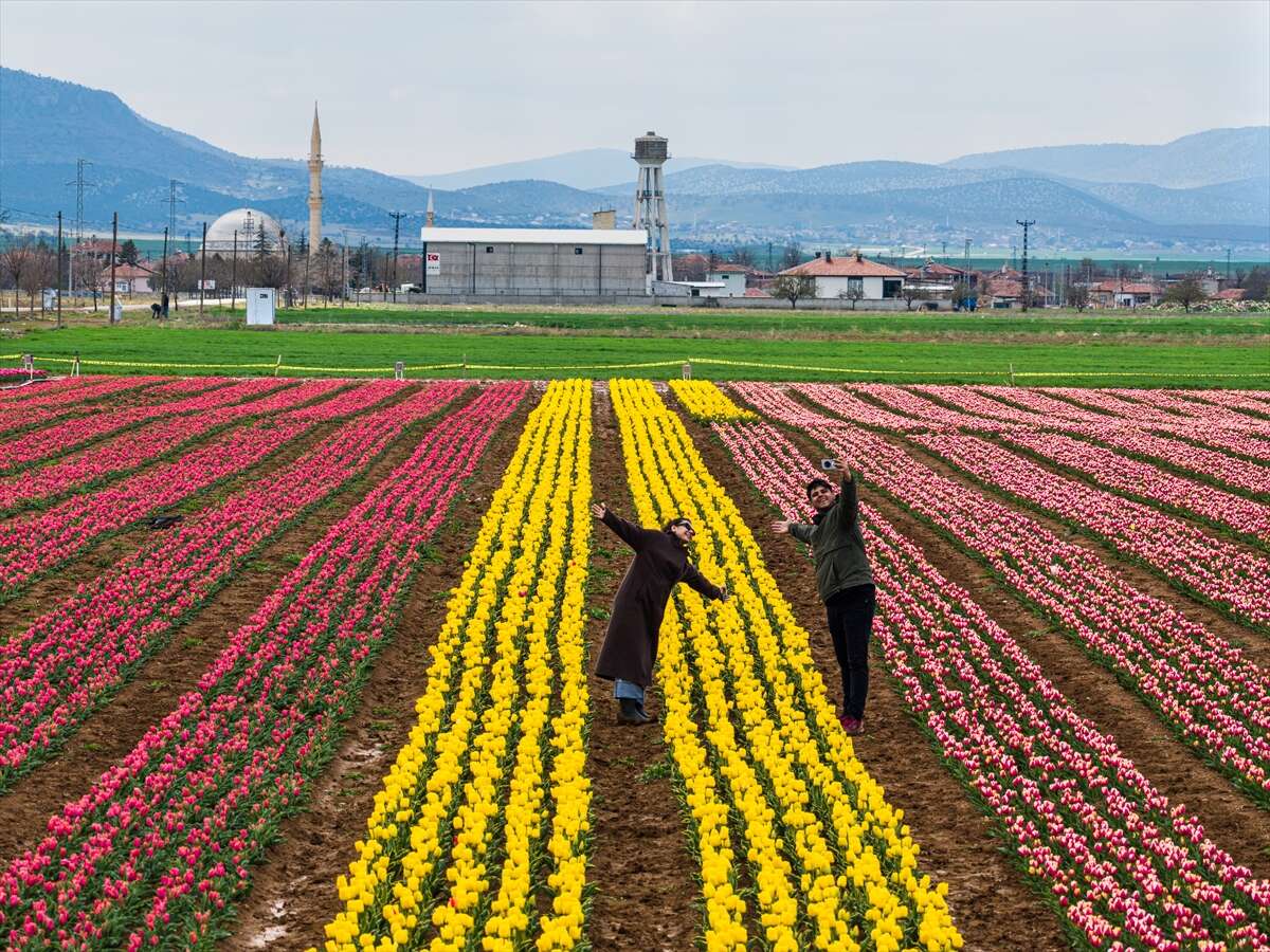 Konya’dan günübirlik kaçanlar çok! Ünlü lale cenneti ziyaretçilerini bekliyor 17